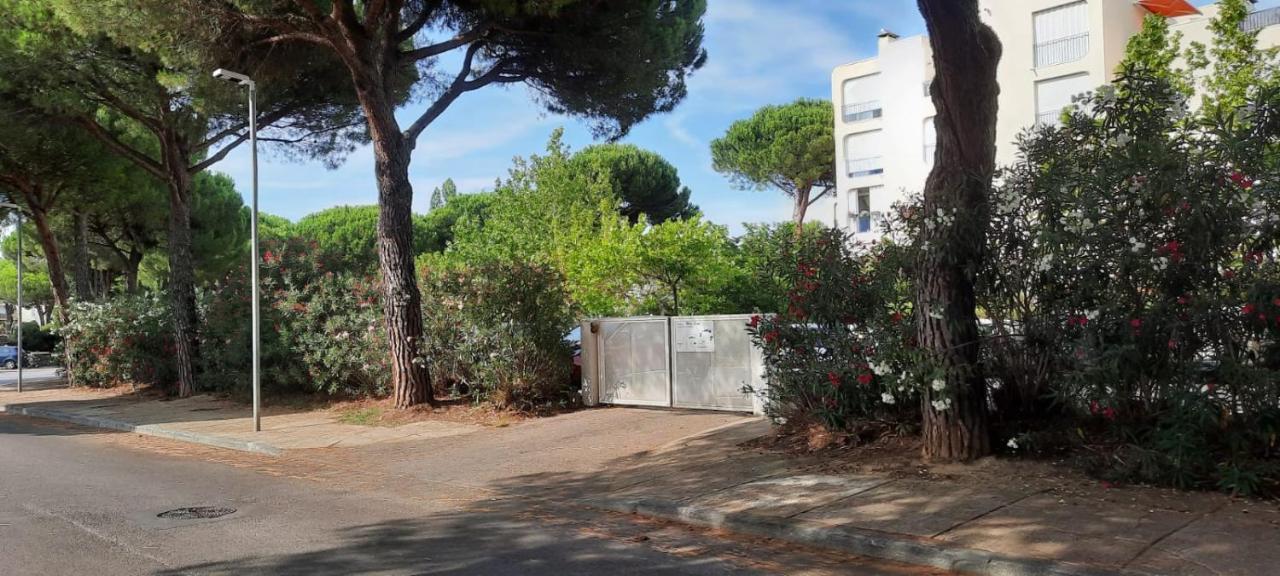 T 2 Mottland 300 M Plage La Grande-Motte Buitenkant foto